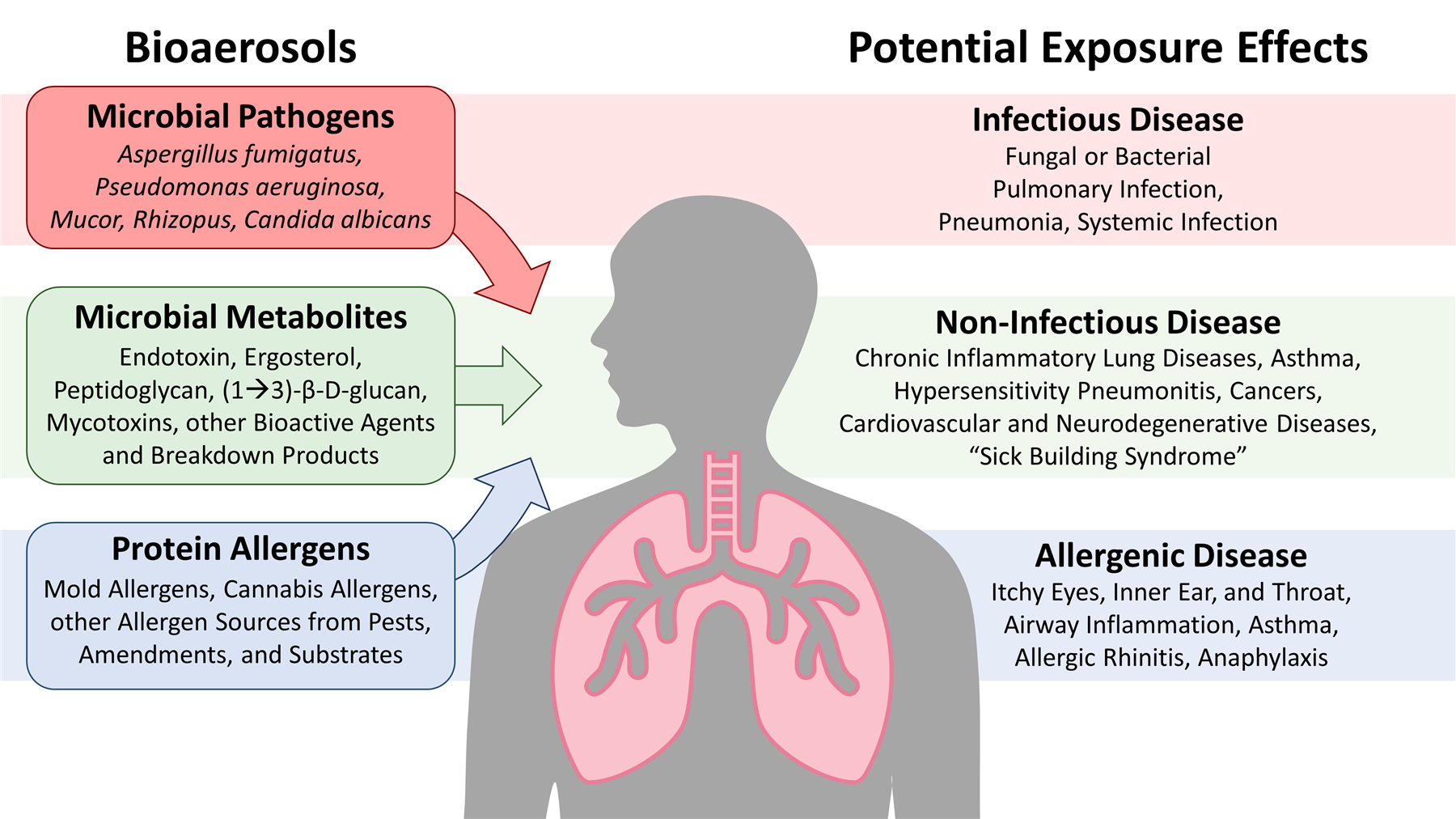 Diagram linking bioaerosol categories (microbial pathogens, microbial metabolites, protein allergens) to potential infectious, non-infectious, and allergenic disease outcomes