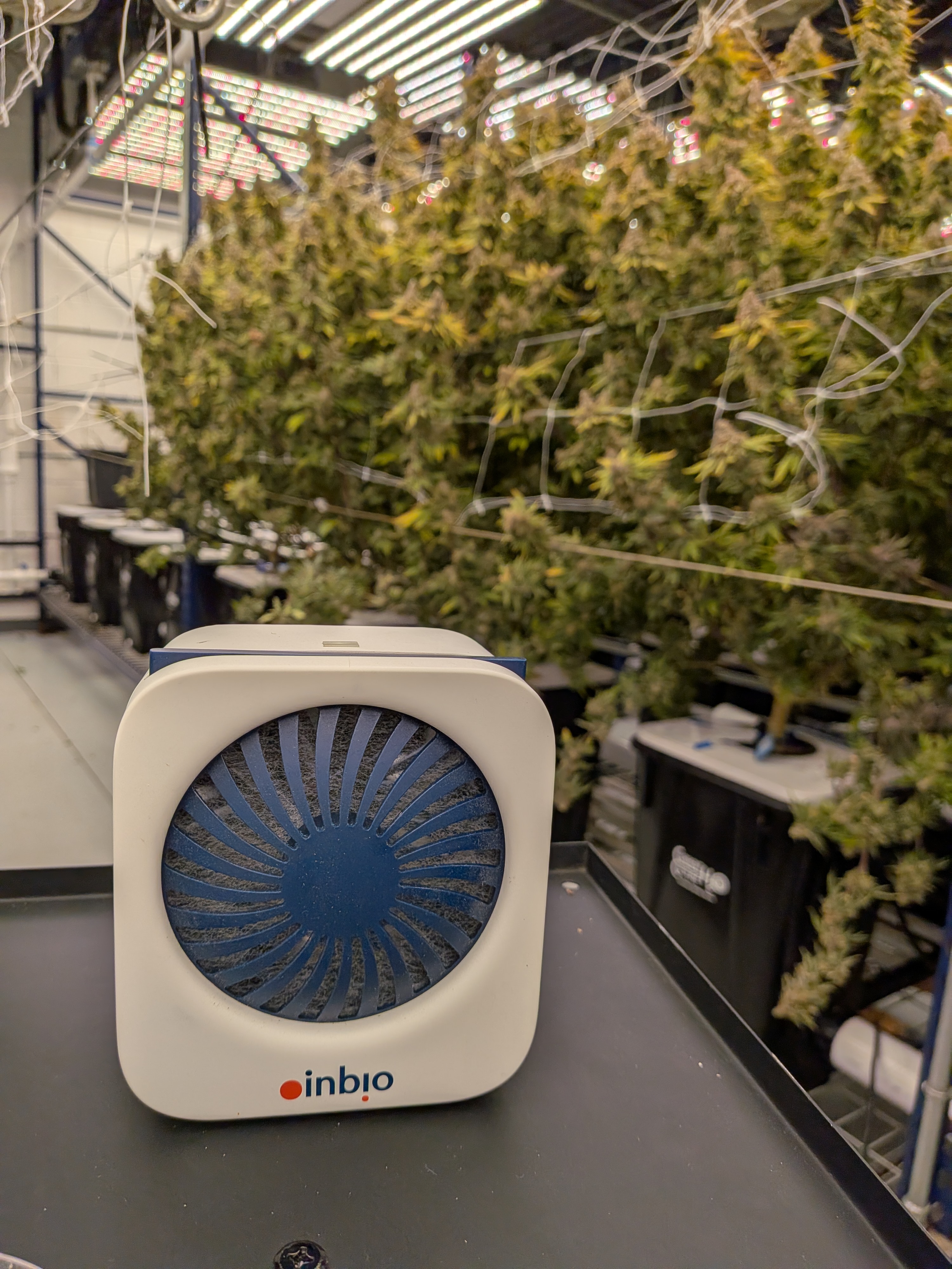 Airborne allergen sampling equipment in a cannabis cultivation facility